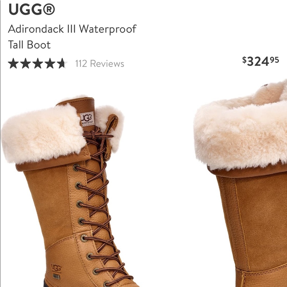 Adirondack III Waterproof Tall Boot- chestnut